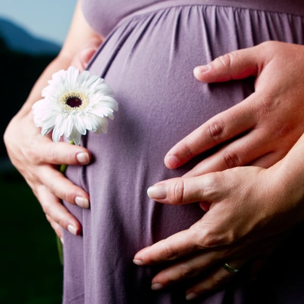 How to Receive the Support You Need For Your Surrogacy Journey