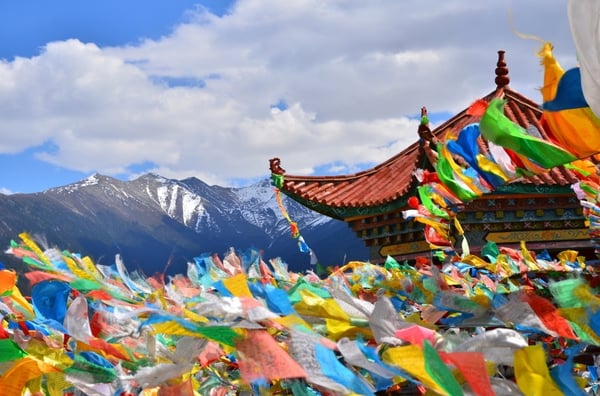 Nepal Bans Commercial Surrogacy
