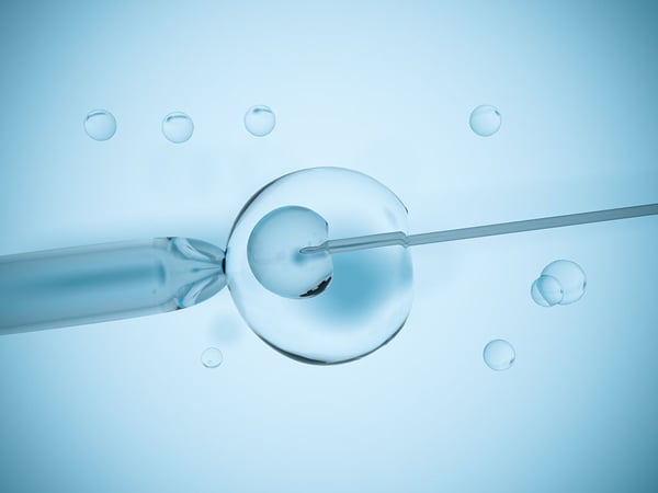 The Surrogacy Process: Medical Steps For IVF
