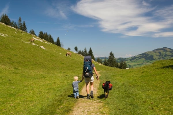 Surrogacy and Legal Custody in Switzerland