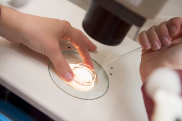 Your Embryos and the Rights That Apply To Them