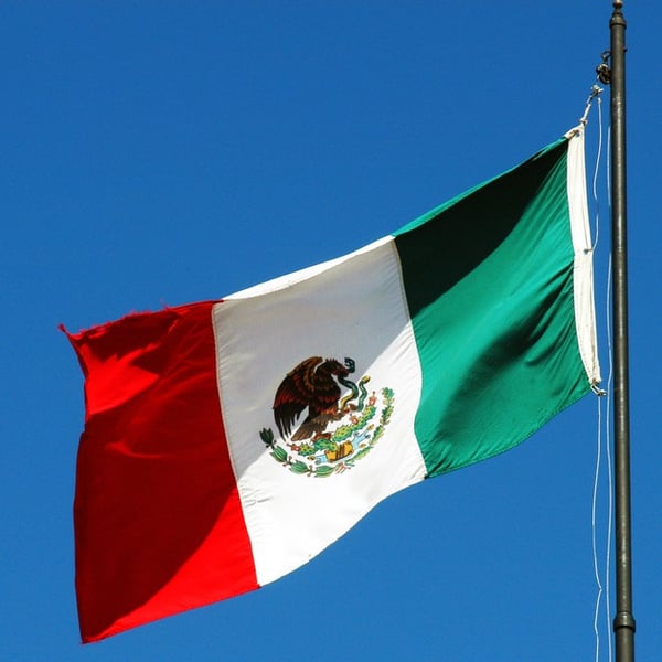 Surrogacy Limitations in Mexico